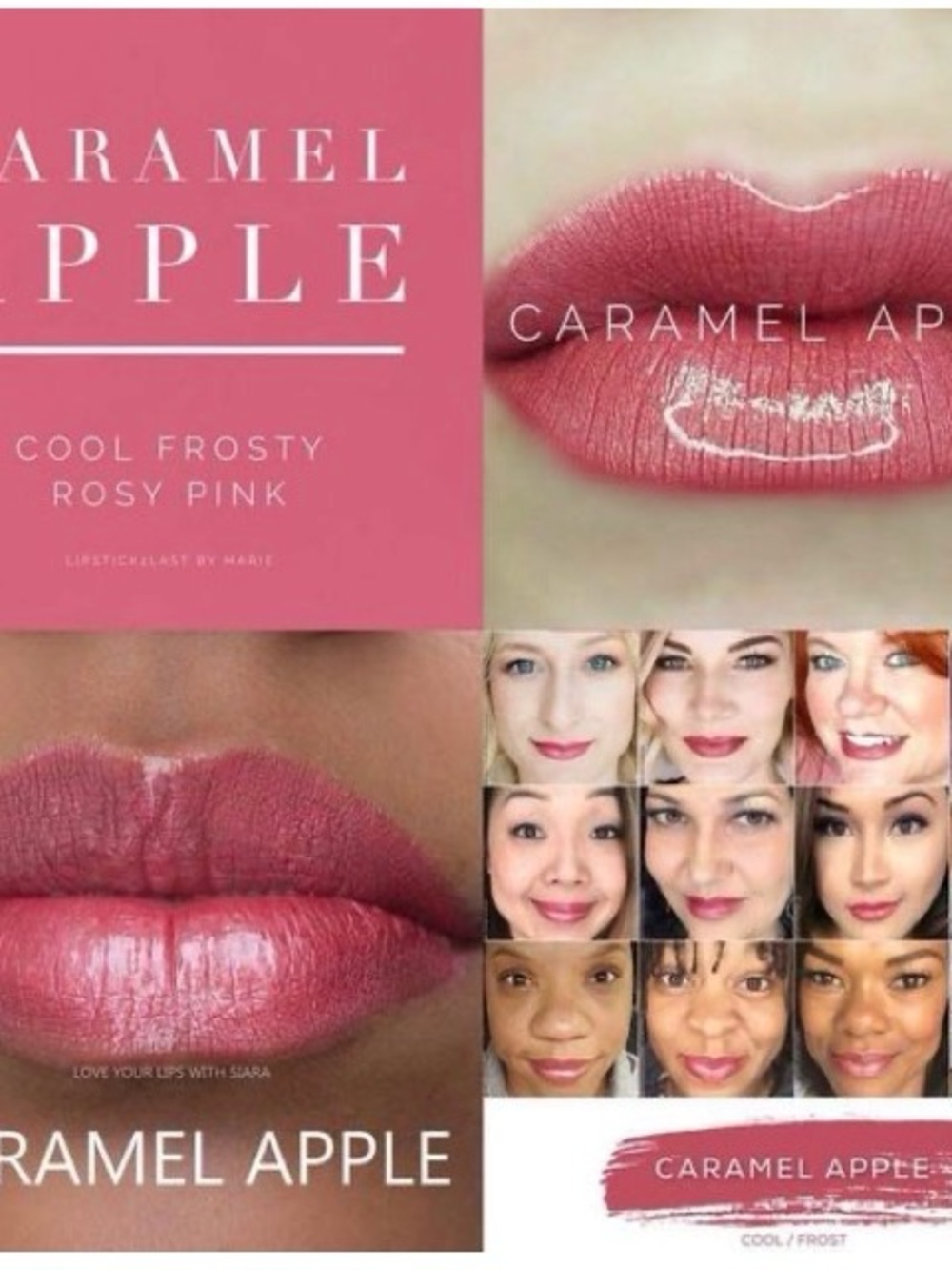 Lipsense by SeneGence Caramel Apple new never opened